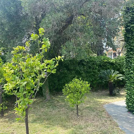 فيلة Gioia By Affitti Brevi Liguria سيلي ليجور
